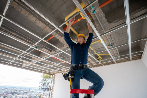 Best Water Leak Repair  in Auburn, IL