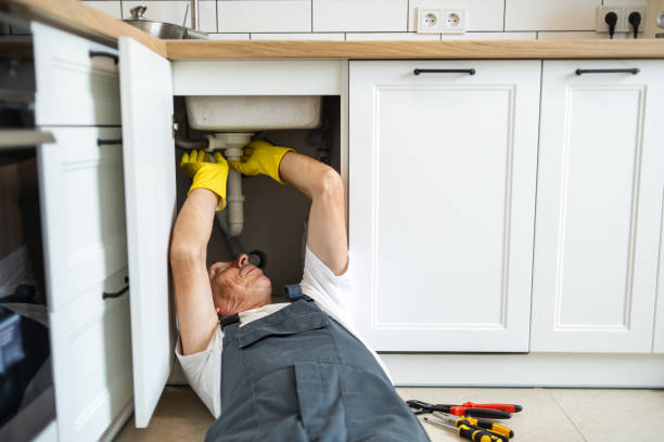 Best Leak Detection Services  in Auburn, IL
