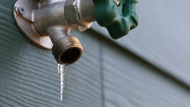 Best Pipe Repair Near Me  in Auburn, IL