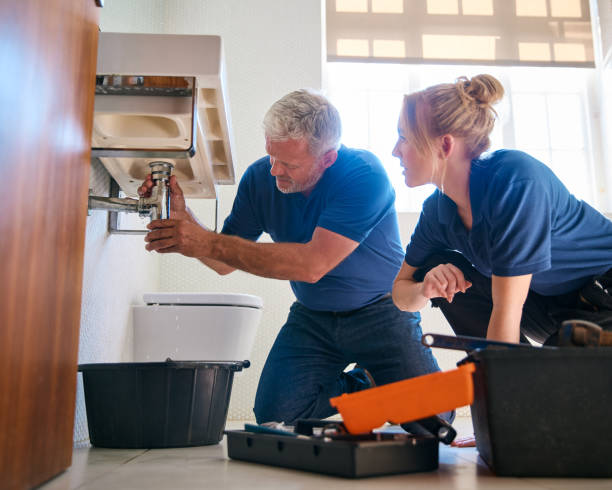 Best Toilet Repair Services  in Auburn, IL